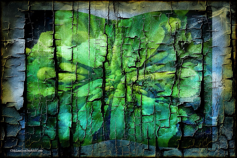 Marsh Abstract Photograph
