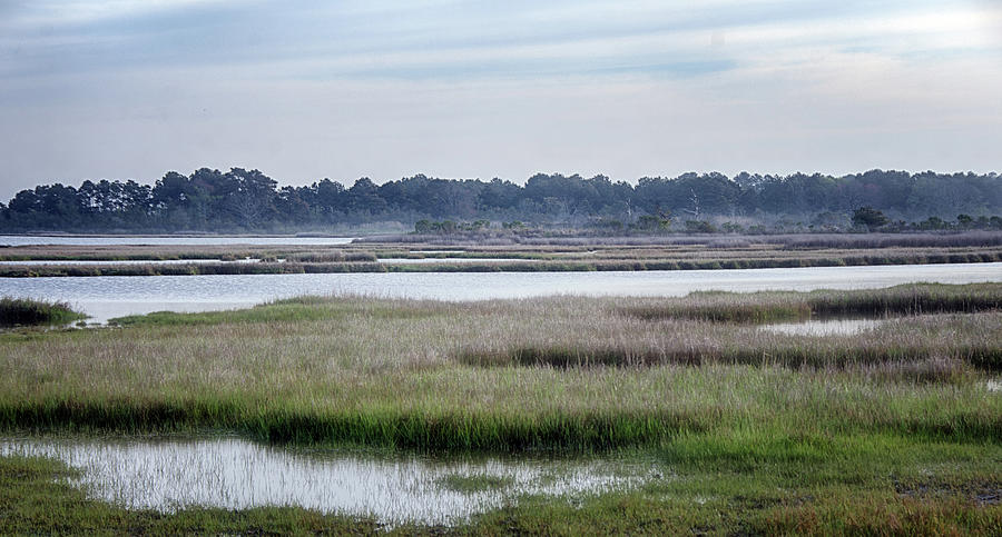 Marsh at Assateague Island Photograph by Eleanor Bortnick - Fine Art ...