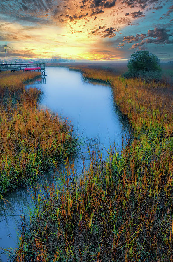 Marsh at Sunrise Photograph by Dan Carmichael