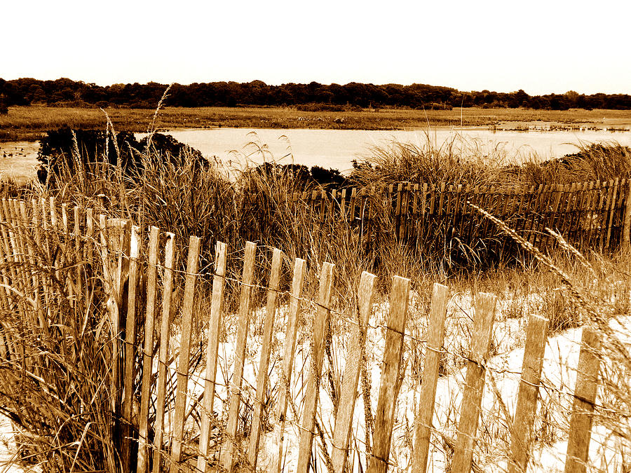Marshland Fence Photograph by Elastic Pixels