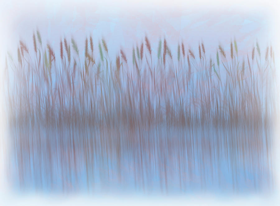 Marsh Grasses - Abstract Blur Digital Art by Patti Deters