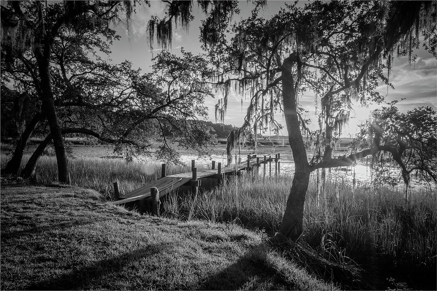 Marsh Kiss Photograph by Nicole Robinson - Fine Art America