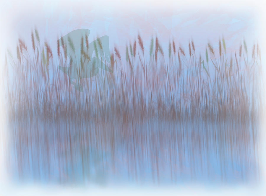 Marsh Landing - Pelican Abstract Digital Art by Patti Deters