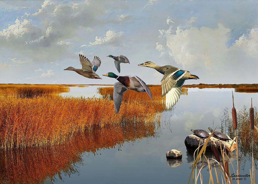 Marsh Landscape with Mallard Ducks Digital Art by Spadecaller