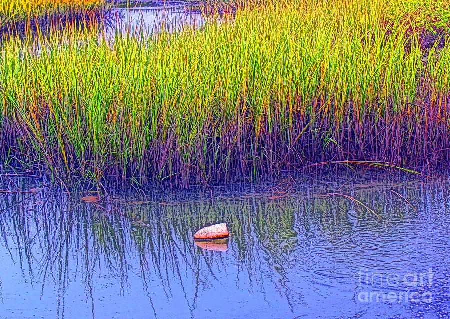 Marsh Meditation Photograph by Sea Change Vibes