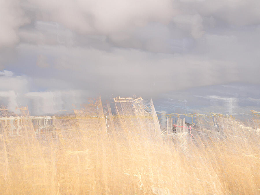 Impressionism Photograph - Marsh Song by Imprinta Art