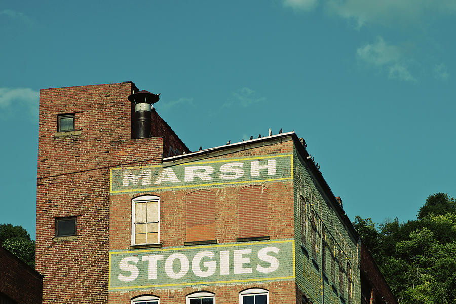 Marsh Stogies Photograph by Stephanie Moon