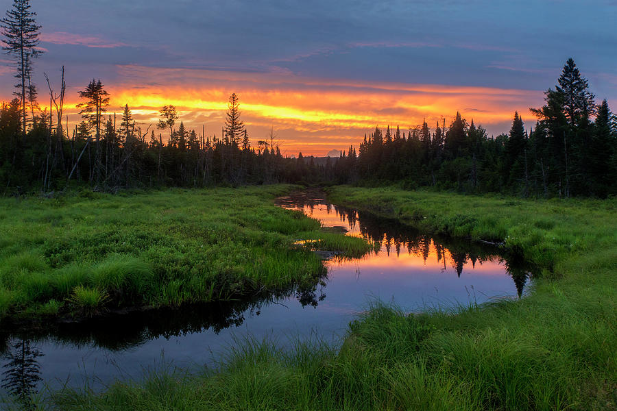 Marsh Sunset Reflections Photograph by Chris Whiton