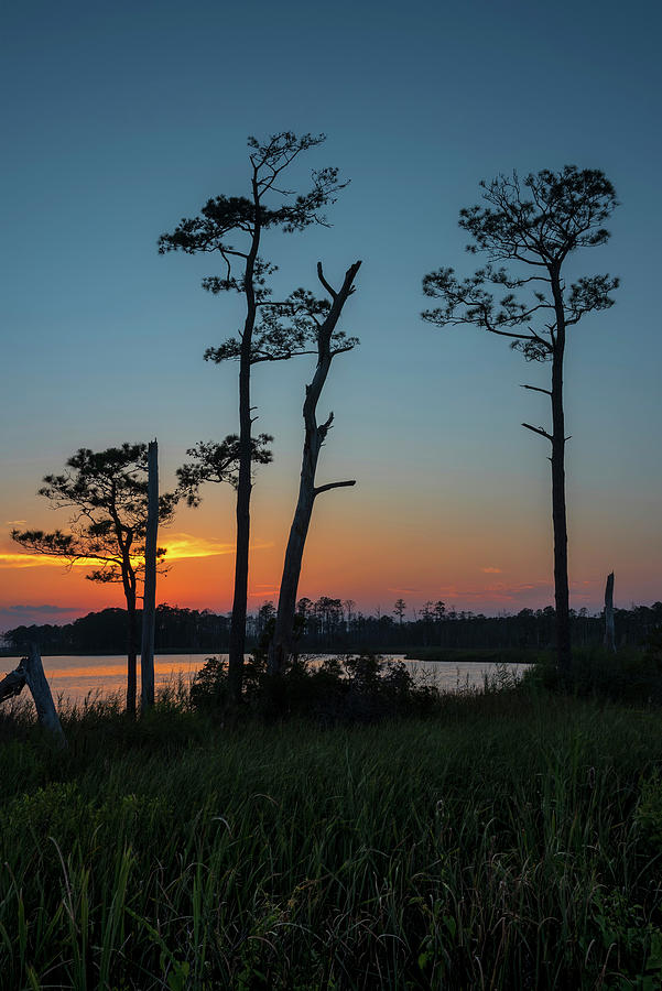 Marsh Sunset Photograph by Robert Fawcett