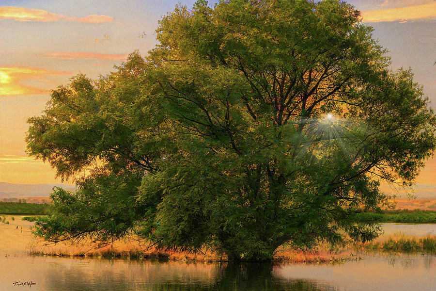 Marsh Tree D Digital Art by Frank Wilson