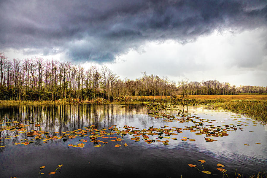 Marsh Under Autumn Thunderclouds Photograph by Debra and Dave Vanderlaan