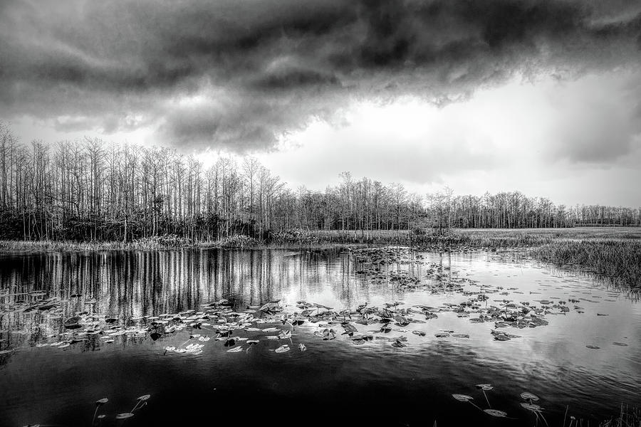 Marsh Under Thunderclouds Black and White Photograph by Debra and Dave Vanderlaan