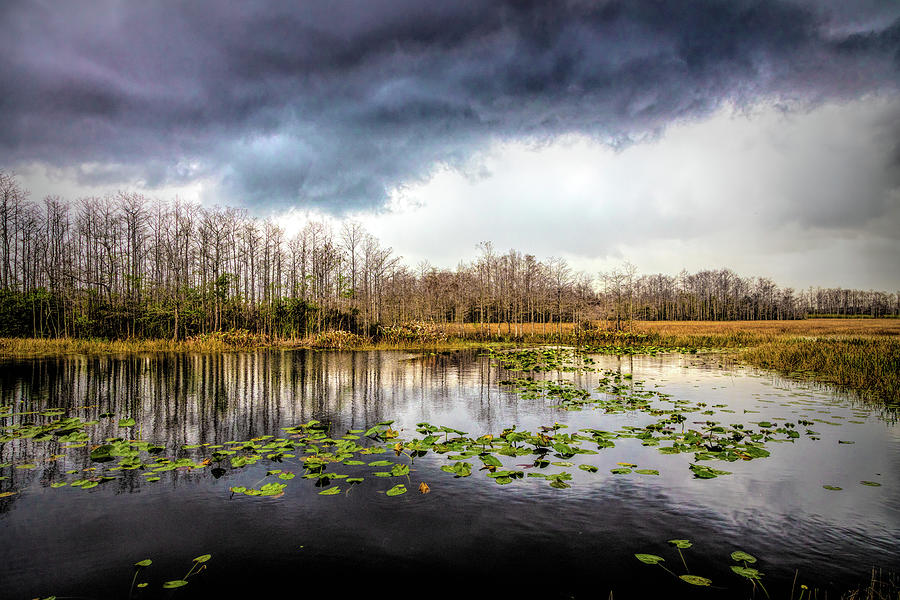 Marsh Under Thunderclouds Photograph by Debra and Dave Vanderlaan
