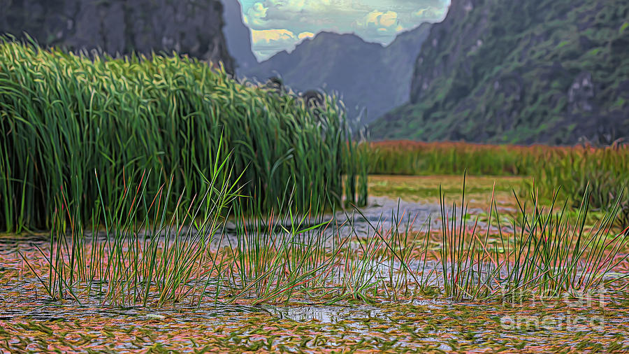 Marsh Wetlands Vietnam Van Long  Photograph by Chuck Kuhn