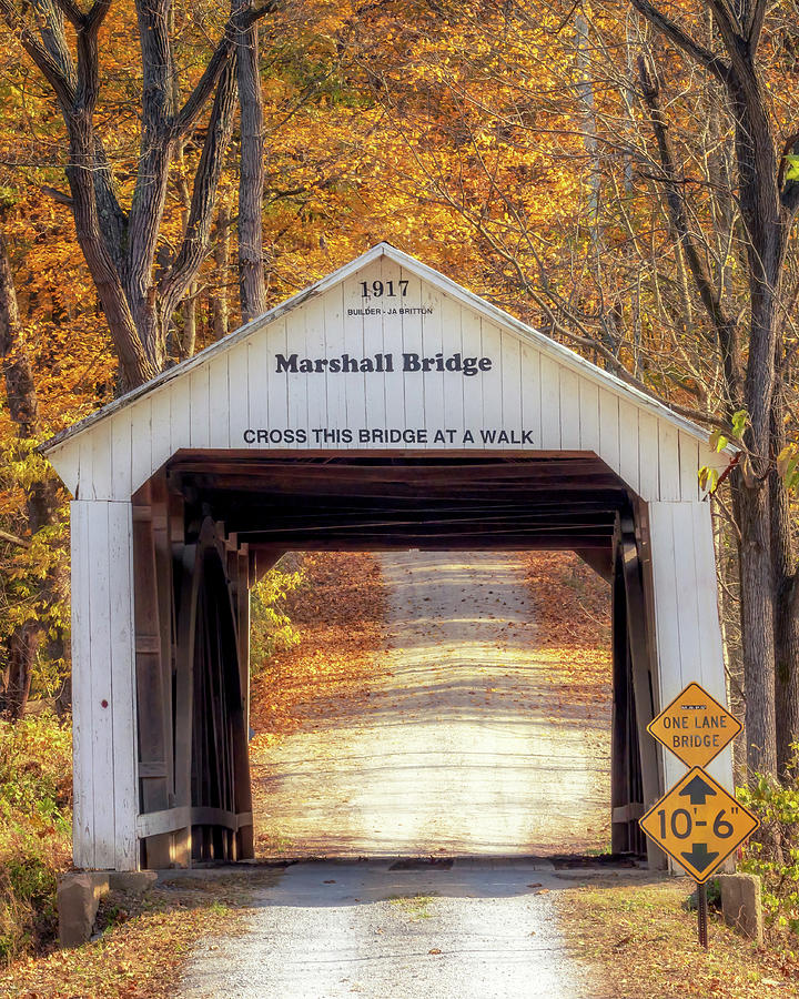 Marshall Bridge in Fall Photograph by Susan Rissi Tregoning