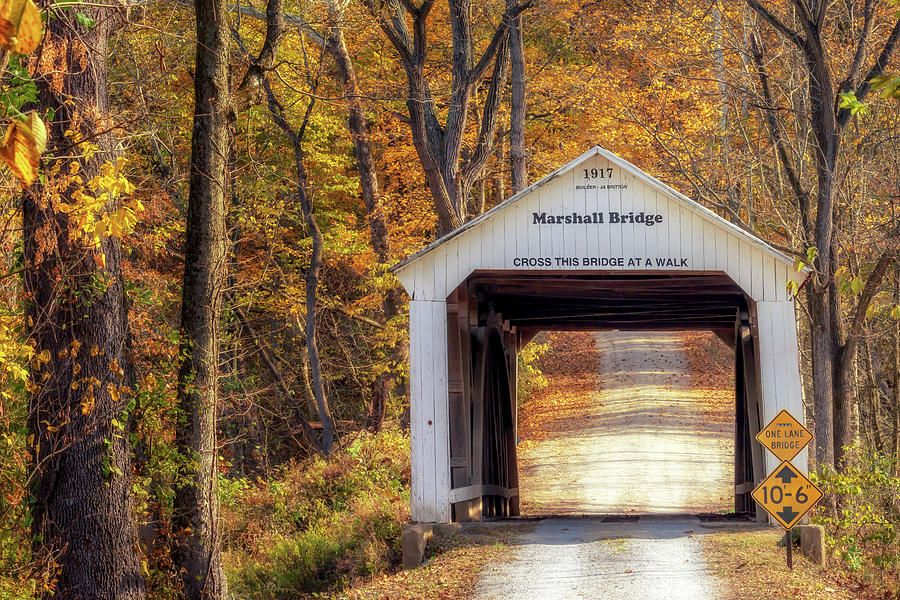 Marshall Covered Bridge in Autumn Photograph by Susan Rissi Tregoning