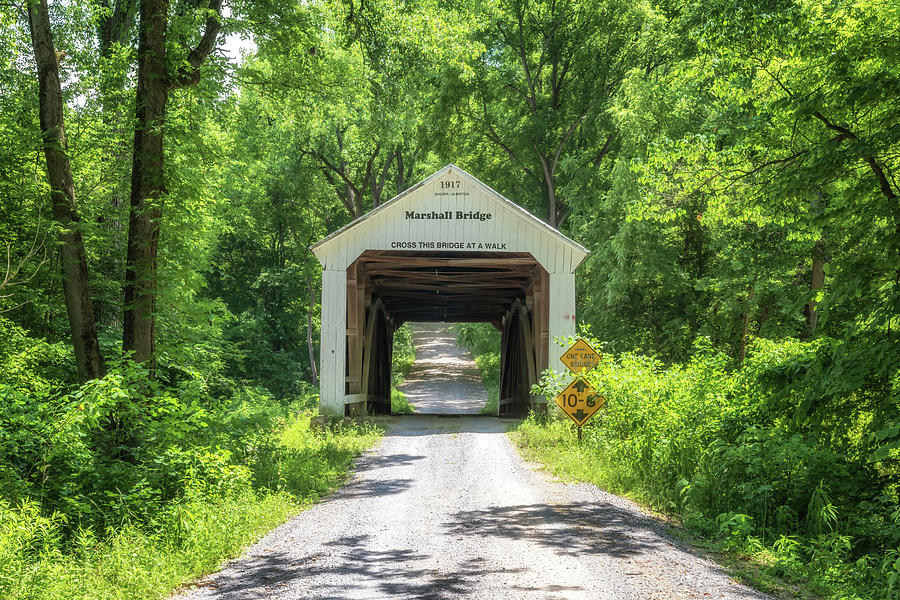 Marshall Covered Bridge in Summer Photograph by Susan Rissi Tregoning