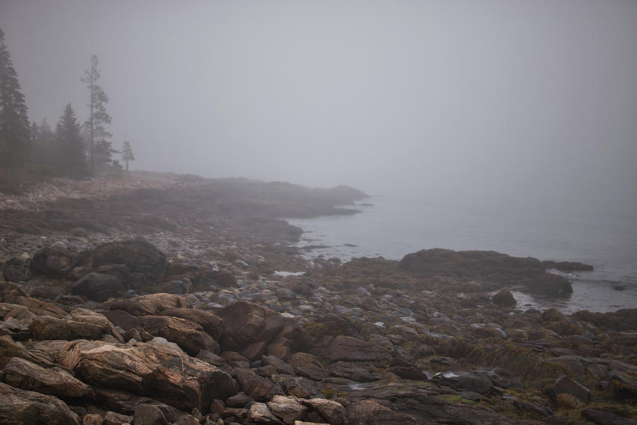 Maine Photograph - Marshall Point -- Fog by Jonathan Sabin Maine Photograph - Marshall Point -- Fog by Jonathan Sabin