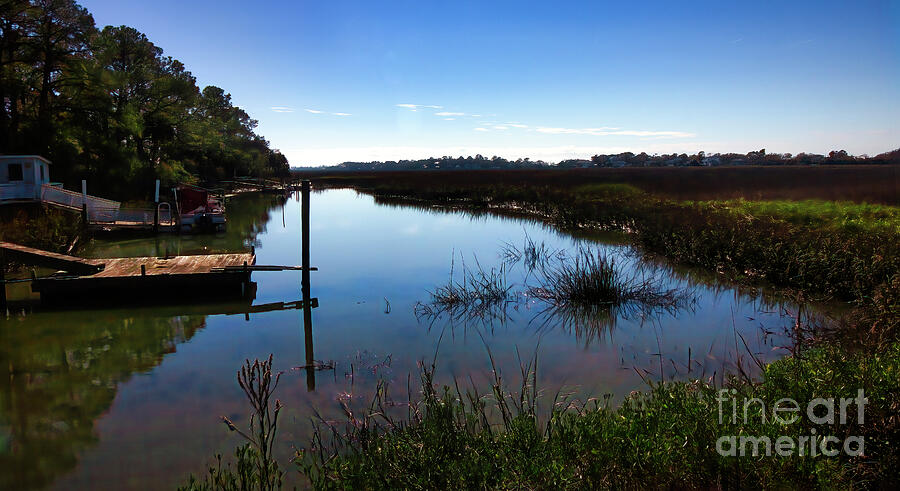 Marshes of Tybee Island Photograph by Shelia Hunt