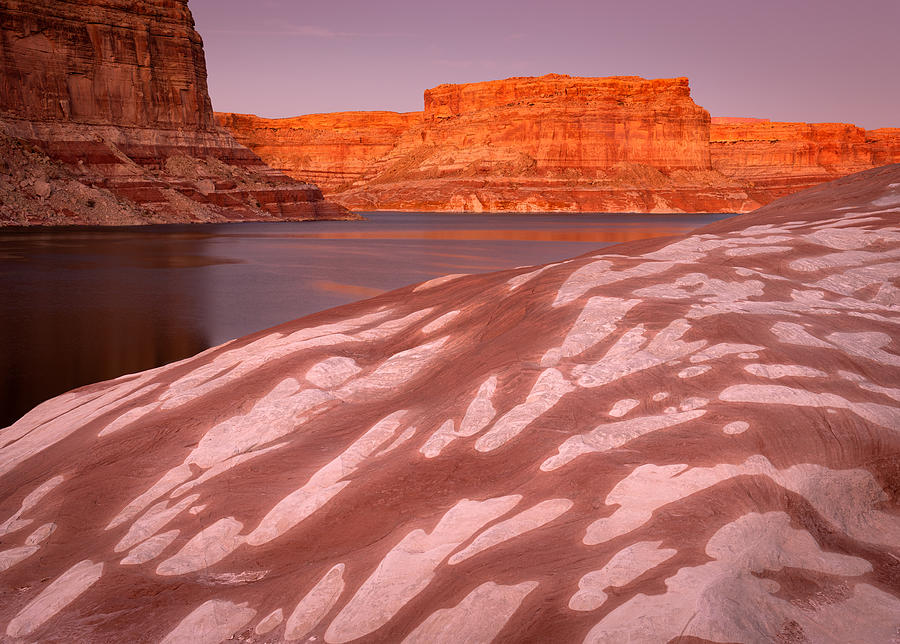 Glen Canyon Photograph - Marshmallow by Peter Boehringer