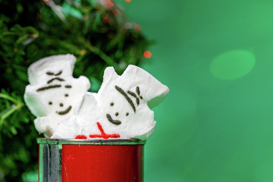 Marshmallow Snowman Christmas Candies with Green Background Photograph by Cindy Shebley