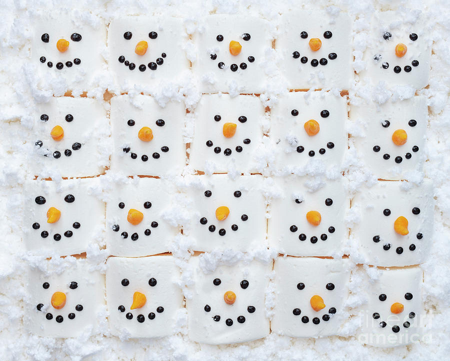 Marshmallow Snowman Faces Photograph by Tim Gainey