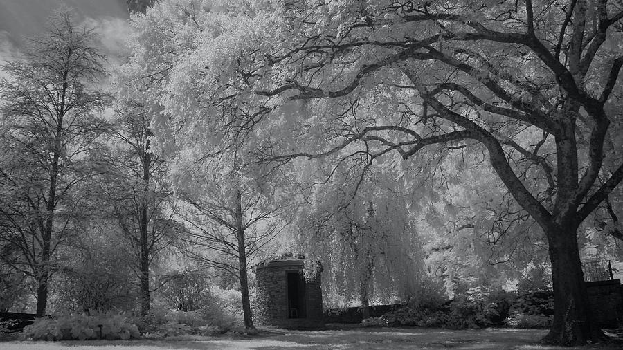 Martha H. Ashe Garden  Photograph by Amy Curtis