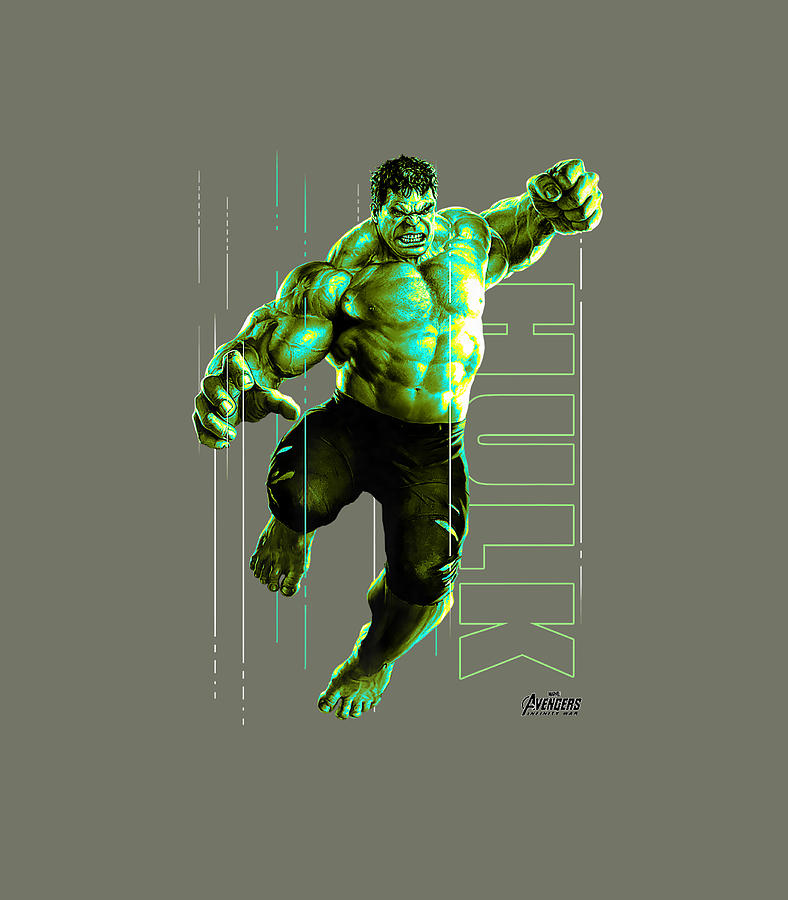 Marvel Infinity War Incredible Hulk Smash Premium1 Digital Art by IvyElc  Brixt - Pixels