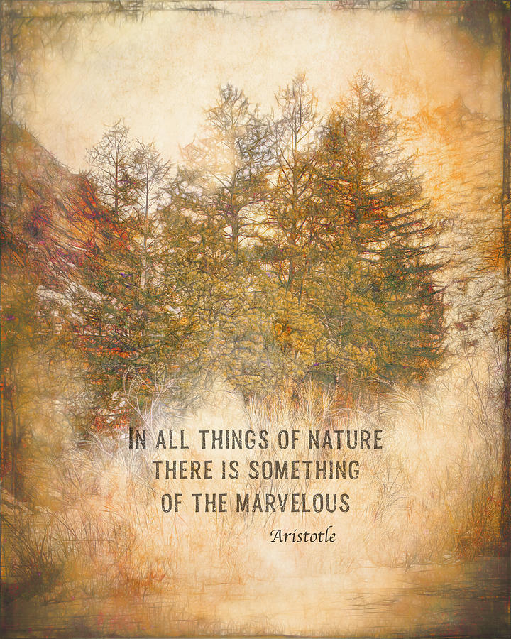 Marvelous Nature Literary Aristotle Quote Sepia Tones Mixed Media by Ann Powell