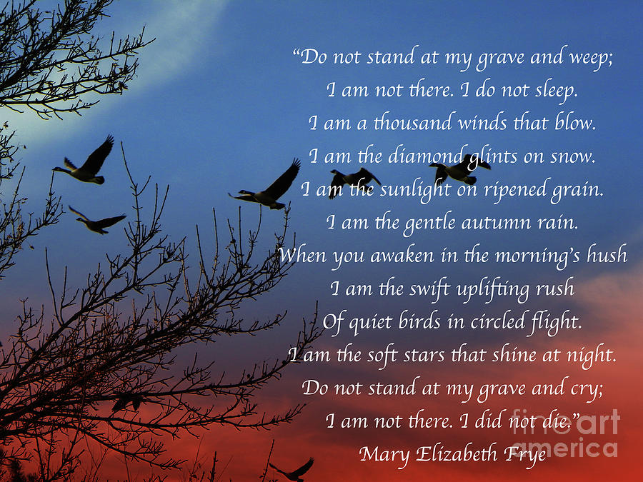 Mary Elizabeth Frye Do Not Stand At My Grave And Weep Quotes Art Print Photograph By Art Sandi