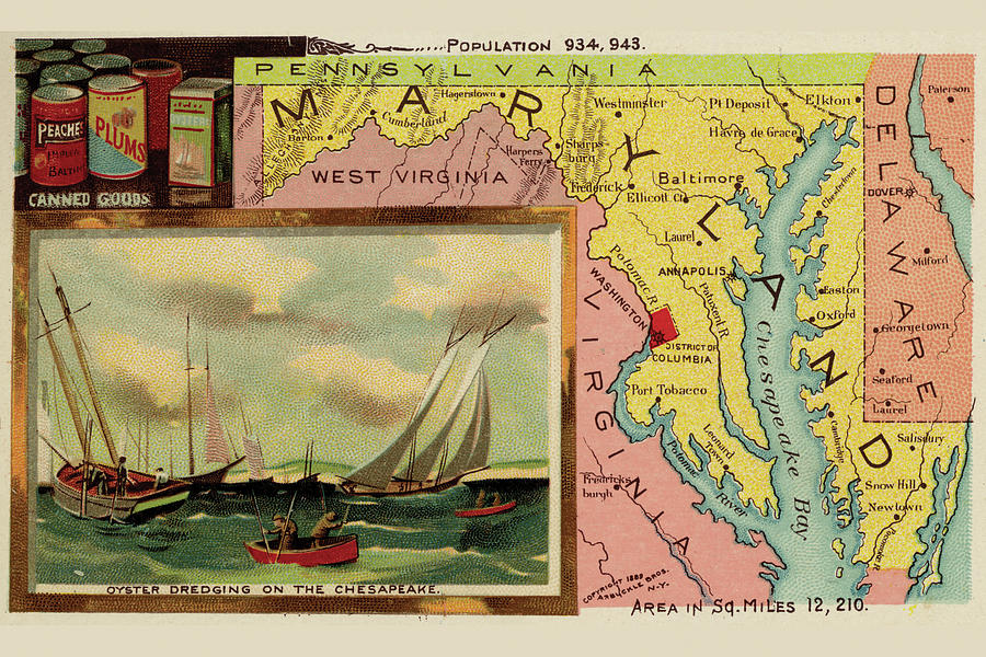 Maryland Drawing by Arbuckle Brothers Fine Art America