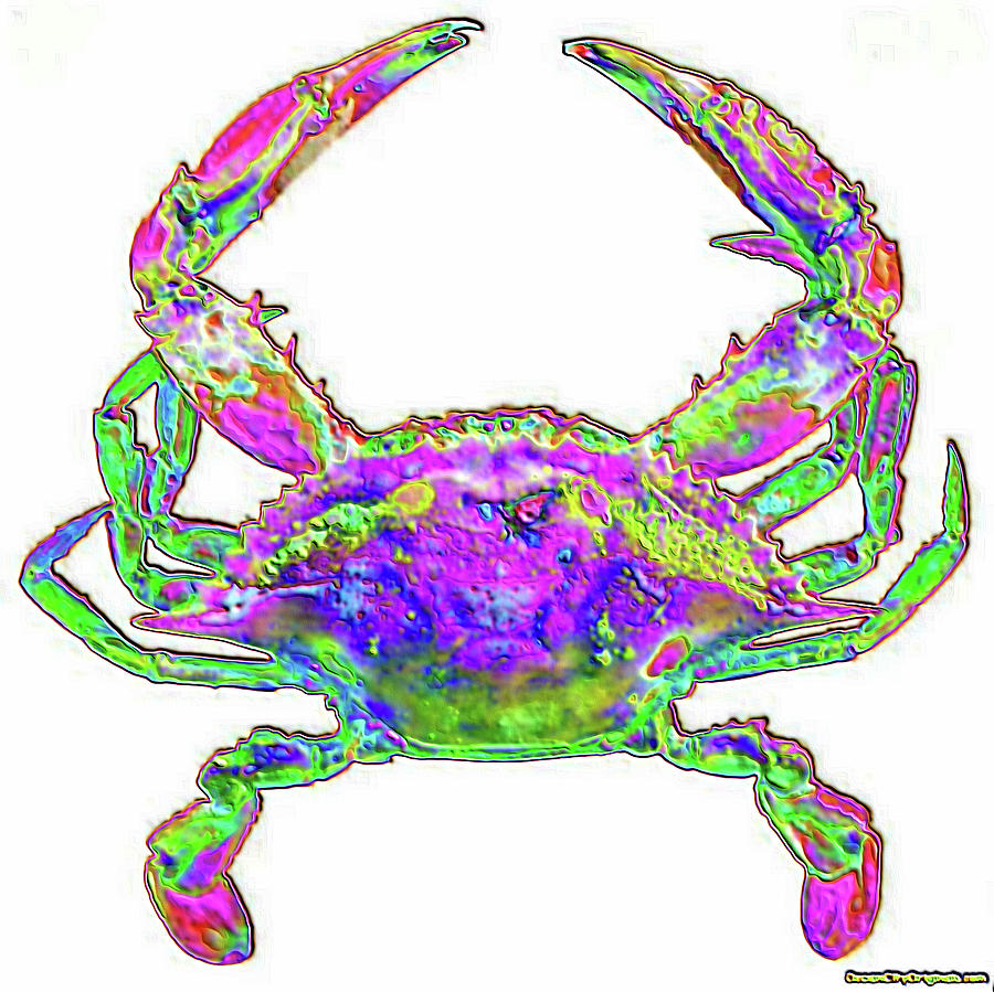 Maryland Blue Crab - Colored Foil Photograph by Robert Banach