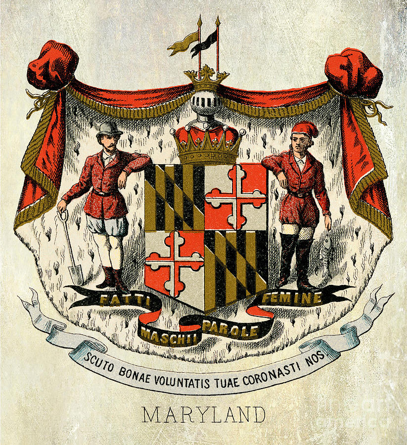 Maryland Coat of Arms 1876 Photograph by Jon Neidert
