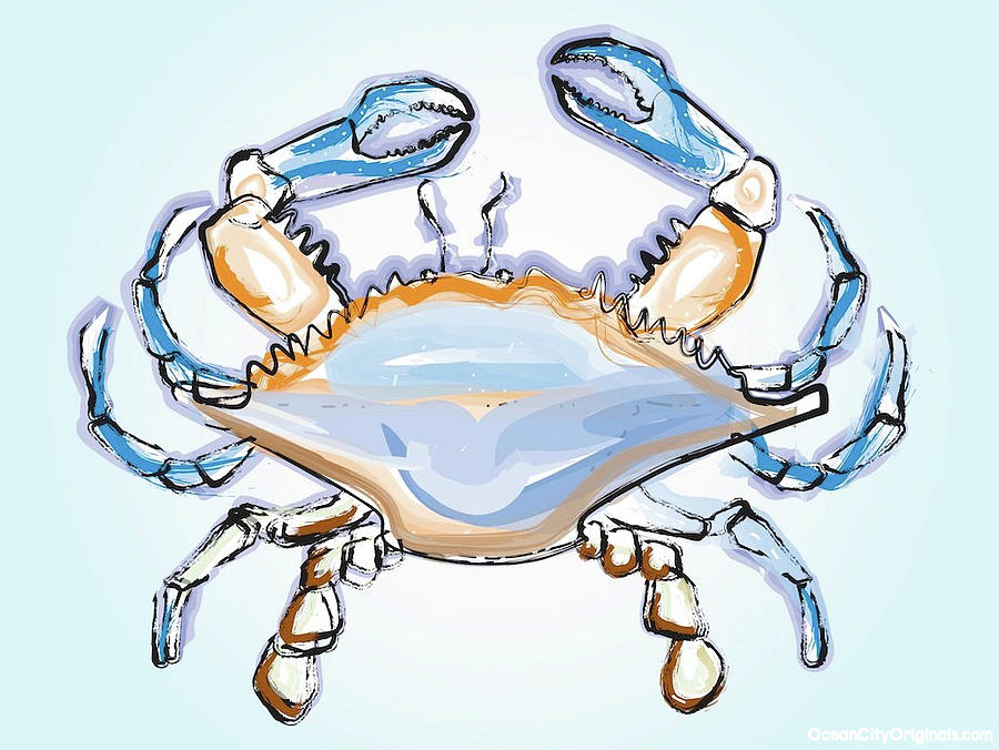 Maryland Crab Drawing Photograph by Robert Banach