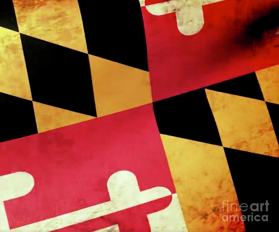 Maryland Flag Digital Art by Joe Barsin