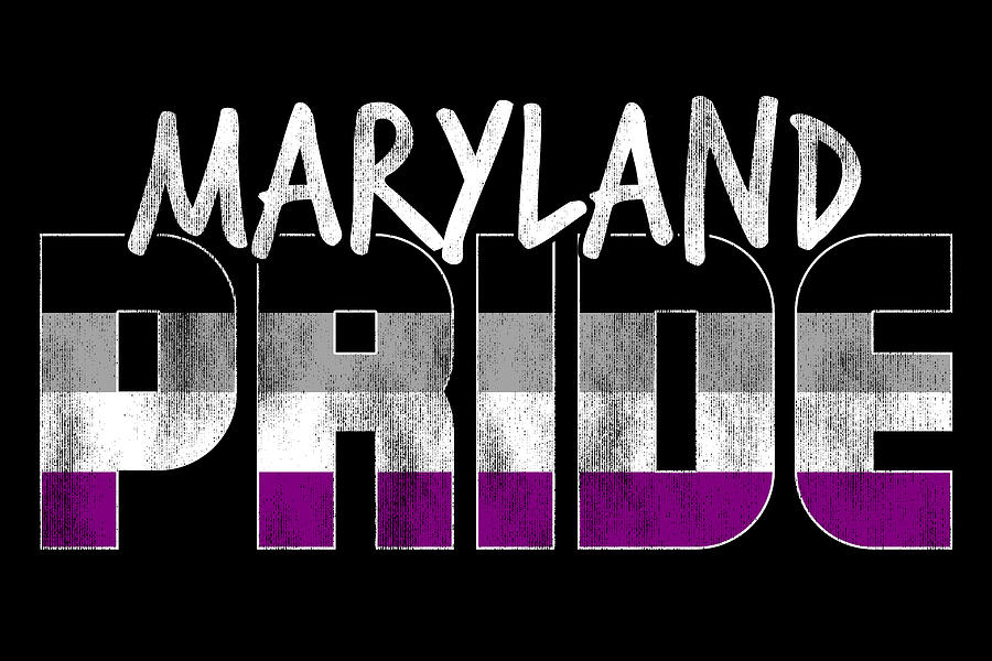 Maryland Pride Asexual Flag Digital Art by Patrick Hiller Fine Art