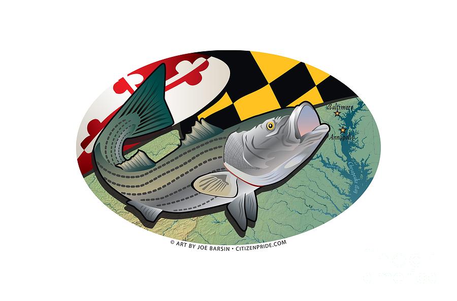 Maryland Rockfish Oval Digital Art by Joe Barsin