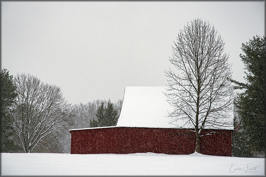 Maryland Snowstorm Photograph by Erika Fawcett