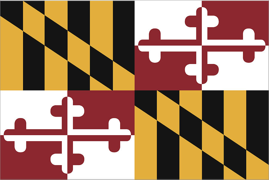 Maryland State Flag Drawing by Chokkicx