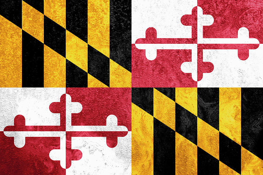 Maryland State Flag Photograph