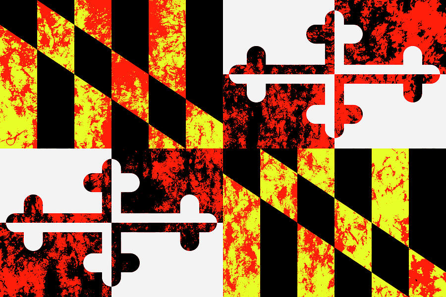 Maryland State Flag Pop Art Photograph