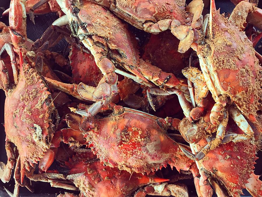 Maryland Steamed Crabs Photograph by Cyndi Monaghan