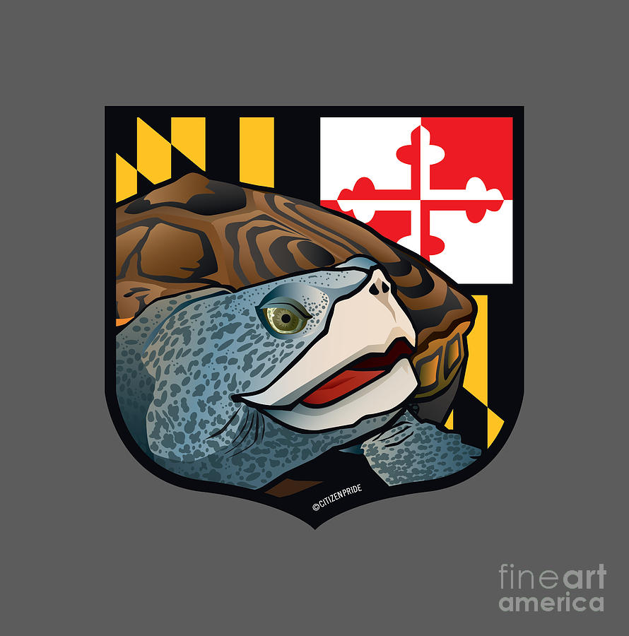 Maryland Flag Digital Art - Maryland Terrapin Crest by Joe Barsin