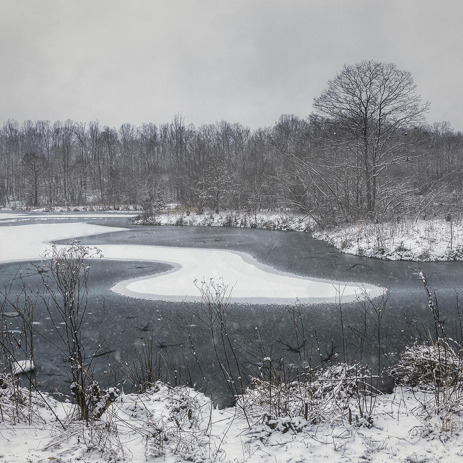 Maryland Winter 2 Photograph by Robert Fawcett