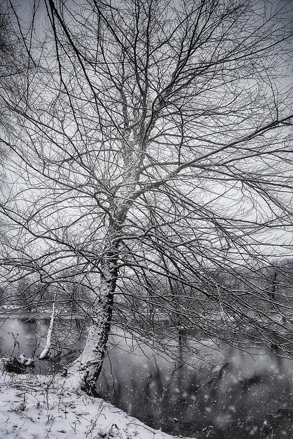 Maryland Winter 3 Photograph by Robert Fawcett