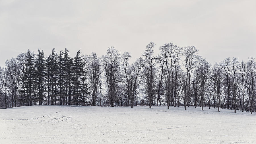 Maryland Winter 5 Photograph by Robert Fawcett
