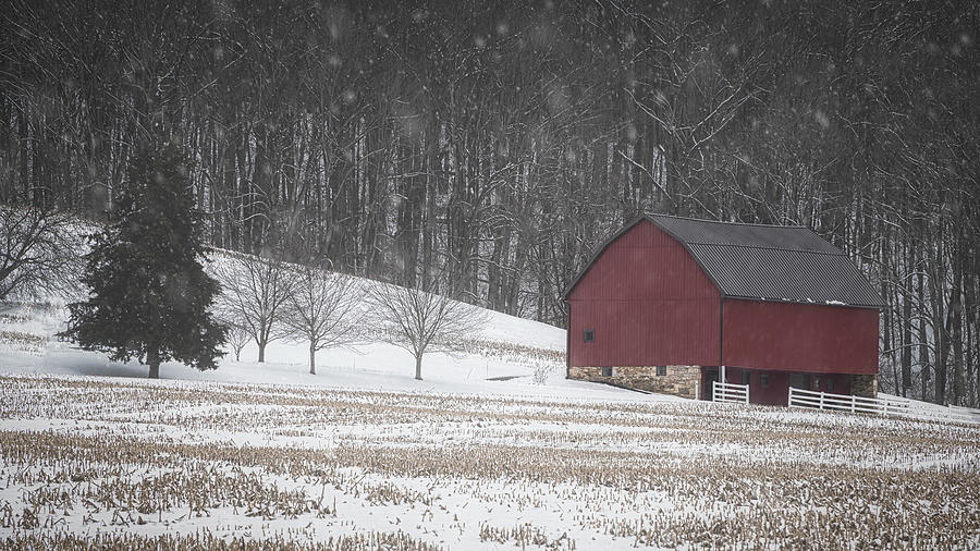 Maryland Winter 6 Photograph by Robert Fawcett