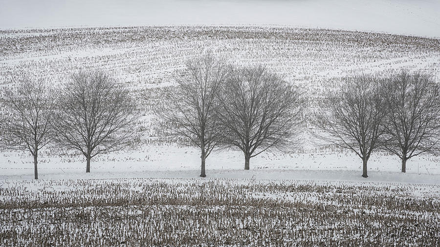 Maryland Winter 7 Photograph by Robert Fawcett