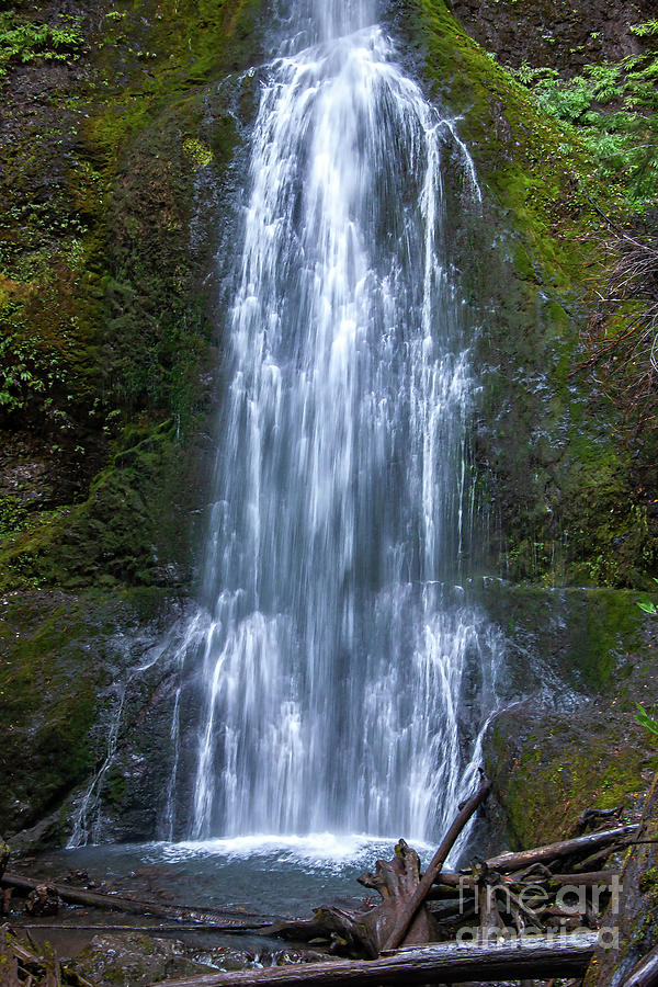 Marymere Falls Bottom Half Photograph by Kirt Tisdale
