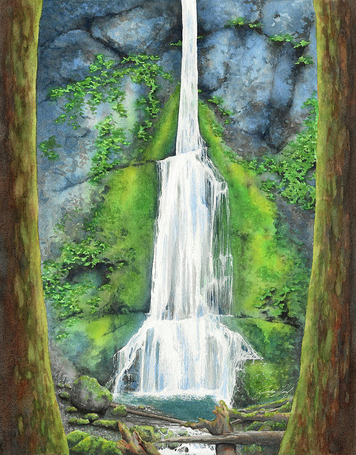 Marymere Falls Painting by Julie Senf